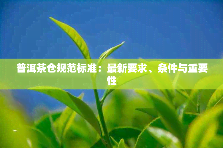 普洱茶仓规范标准：最新要求、条件与重要性