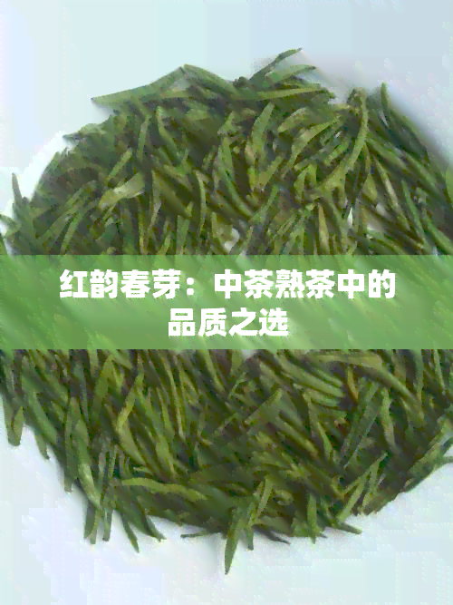 红韵春芽：中茶熟茶中的品质之选