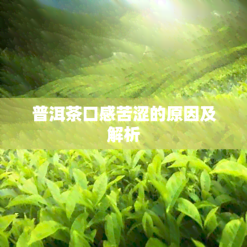 普洱茶口感苦涩的原因及解析