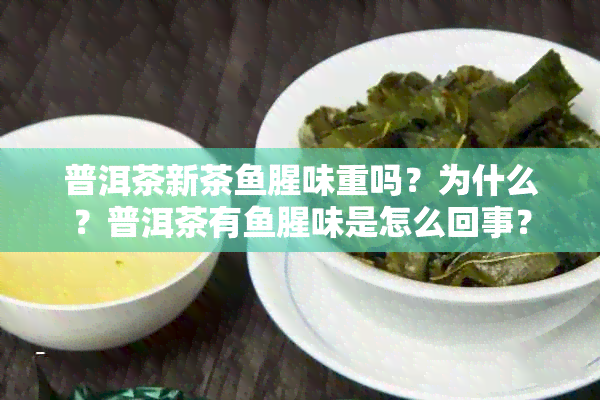 普洱茶新茶腥味重吗？为什么？普洱茶有腥味是怎么回事？