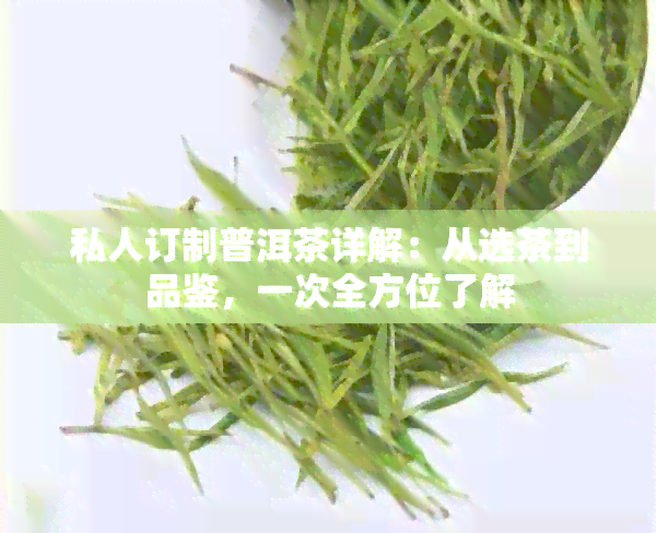 私人订制普洱茶详解：从选茶到品鉴，一次全方位了解