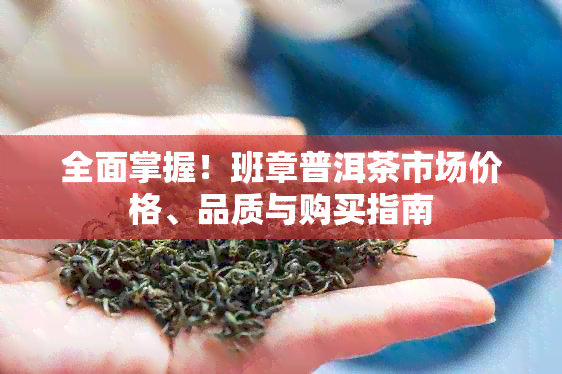 全面掌握！班章普洱茶市场价格、品质与购买指南