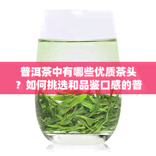 普洱茶中有哪些优质茶头？如何挑选和品鉴口感的普洱茶？