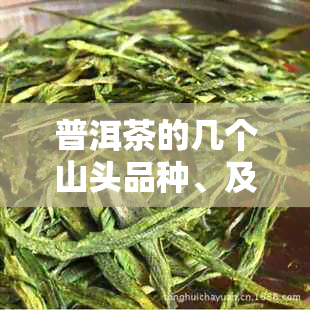 普洱茶的几个山头品种、及特点，你想知道吗？