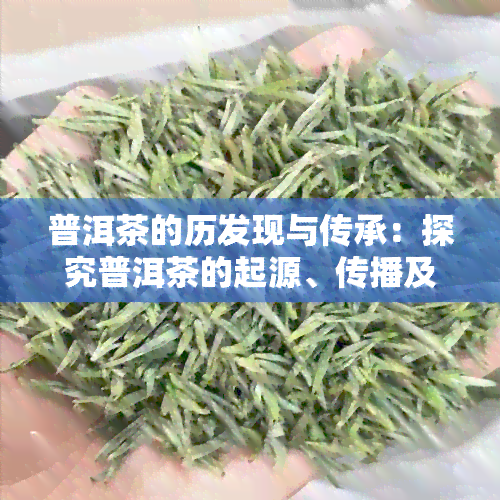 普洱茶的历发现与传承：探究普洱茶的起源、传播及其文化内涵