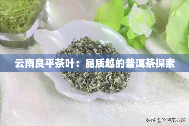 云南良平茶叶：品质越的普洱茶探索