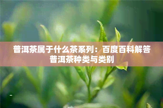 普洱茶属于什么茶系列：百度百科解答普洱茶种类与类别