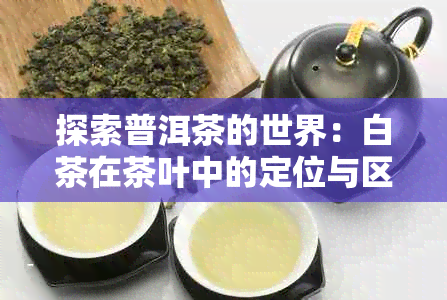 探索普洱茶的世界：白茶在茶叶中的定位与区别