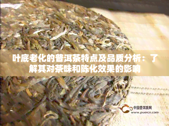 叶底老化的普洱茶特点及品质分析：了解其对茶味和陈化效果的影响