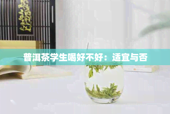 普洱茶学生喝好不好：适宜与否