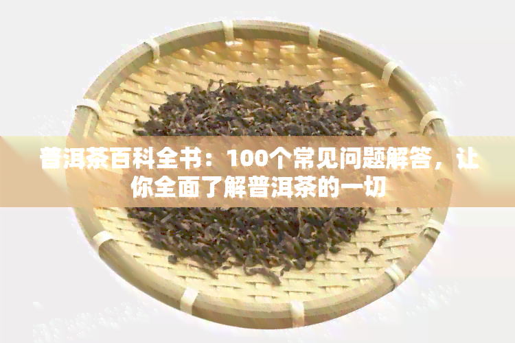 普洱茶百科全书：100个常见问题解答，让你全面了解普洱茶的一切