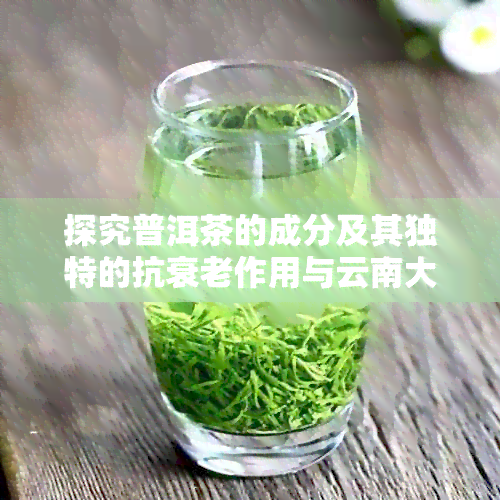 探究普洱茶的成分及其独特的抗衰老作用与云南大叶茶树品种制作工艺相关性