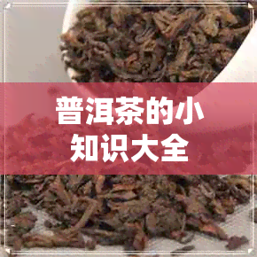 普洱茶的小知识大全