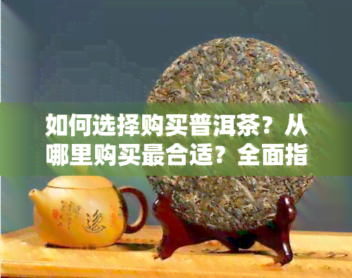 如何选择购买普洱茶？从哪里购买最合适？全面指南解答您的疑问！