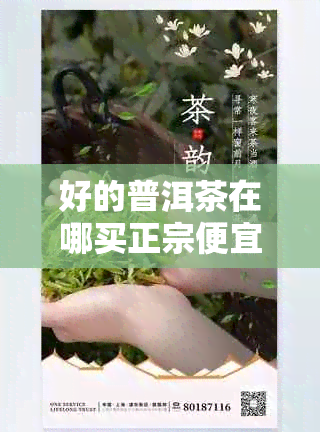 好的普洱茶在哪买正宗便宜比较好