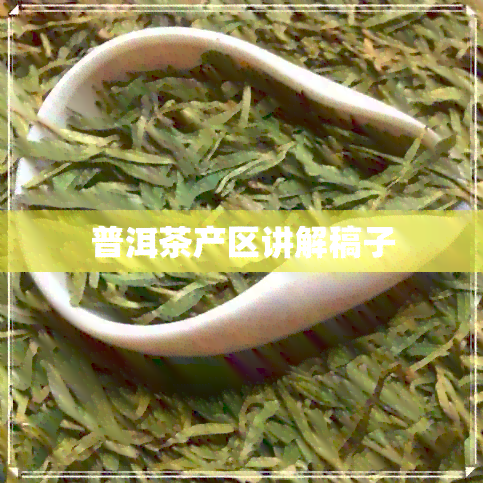 普洱茶产区讲解稿子