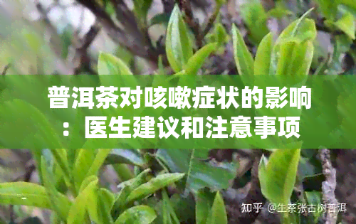 普洱茶对咳嗽症状的影响：医生建议和注意事项