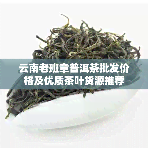 云南老班章普洱茶批发价格及优质茶叶货源推荐