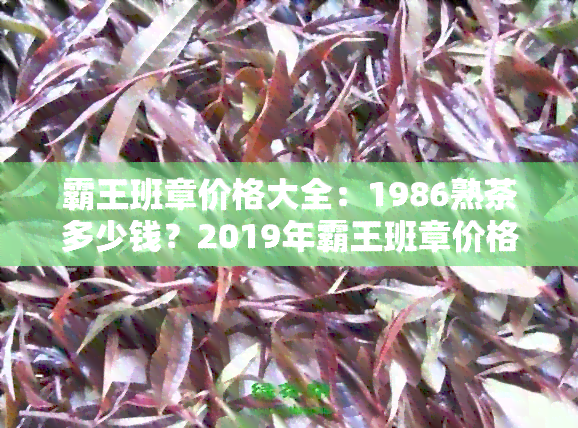 霸王班章价格大全：1986熟茶多少钱？2019年霸王班章价格是多少？