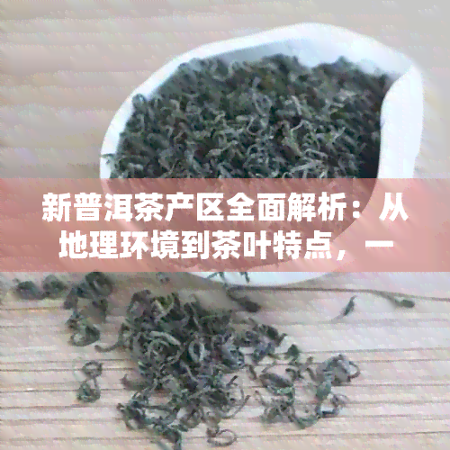 新普洱茶产区全面解析：从地理环境到茶叶特点，一文搞定！