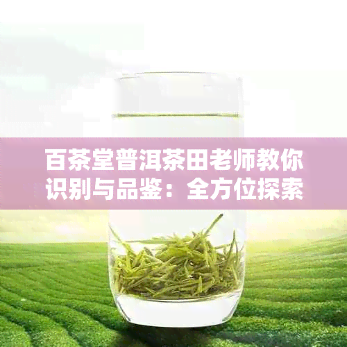 百茶堂普洱茶田老师教你识别与品鉴：全方位探索普洱茶的魅力与奥秘