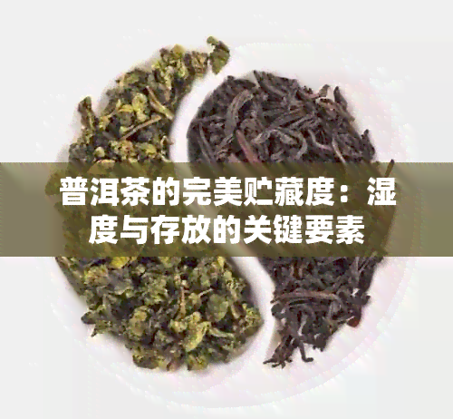 普洱茶的完美贮藏度：湿度与存放的关键要素