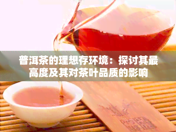 普洱茶的理想存环境：探讨其更高度及其对茶叶品质的影响