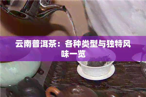 云南普洱茶：各种类型与独特风味一览