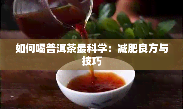 如何喝普洱茶最科学：减肥良方与技巧