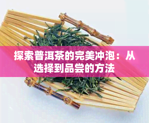 探索普洱茶的完美冲泡：从选择到品尝的方法