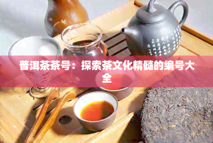 普洱茶茶号：探索茶文化精髓的编号大全