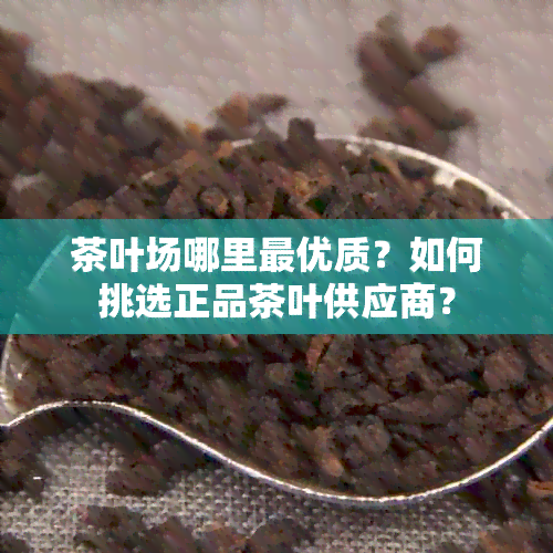 茶叶场哪里更优质？如何挑选正品茶叶供应商？