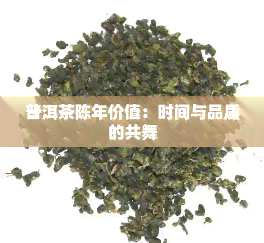 普洱茶陈年价值：时间与品质的共舞