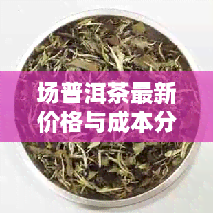 场普洱茶最新价格与成本分析表