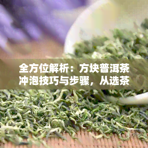 全方位解析：方块普洱茶冲泡技巧与步骤，从选茶到品茗一应俱全