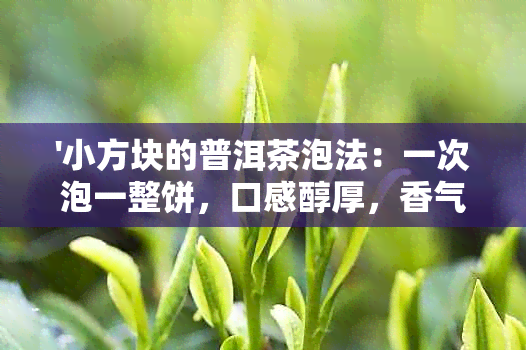 '小方块的普洱茶泡法：一次泡一整饼，口感醇厚，香气四溢'