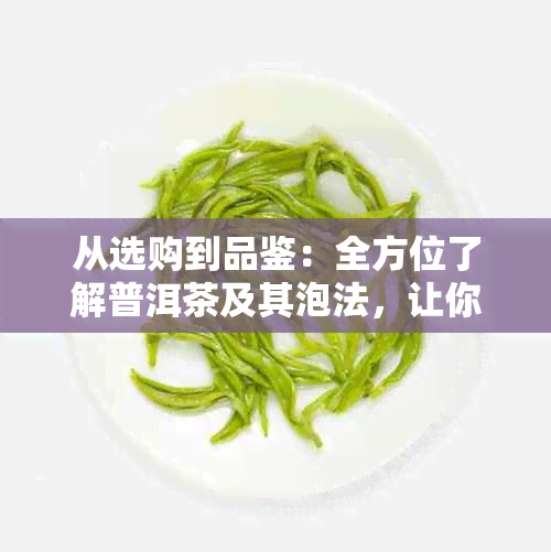 从选购到品鉴：全方位了解普洱茶及其泡法，让你成为普洱茶专家