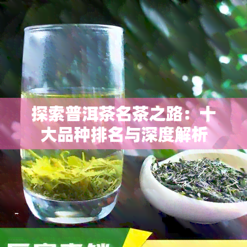 探索普洱茶名茶之路：十大品种排名与深度解析