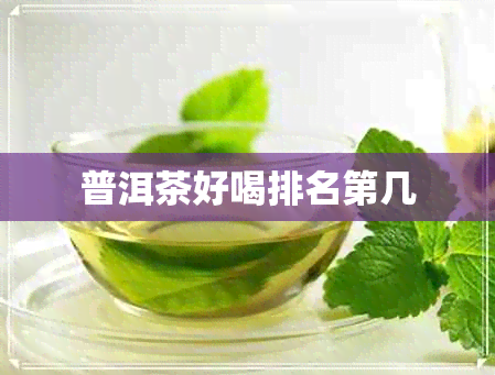 普洱茶好喝排名第几