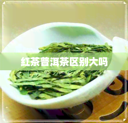 红茶普洱茶区别大吗