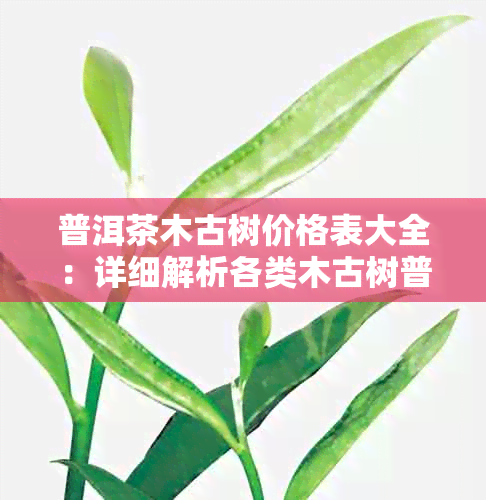 普洱茶木古树价格表大全：详细解析各类木古树普洱茶的价格及特点