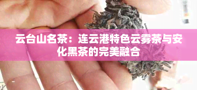 云台山名茶：连云港特色云雾茶与安化黑茶的完美融合