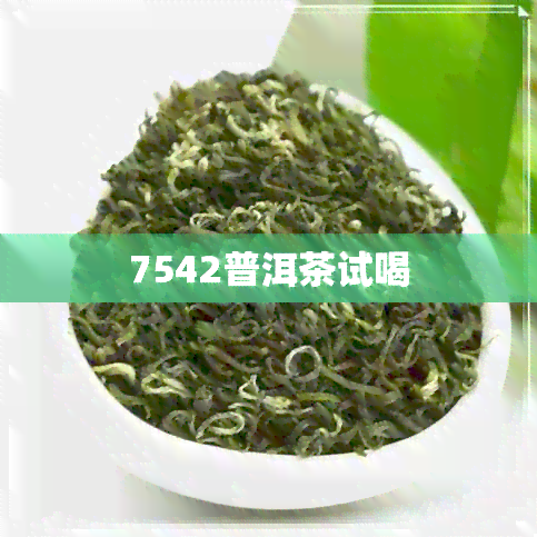 7542普洱茶试喝