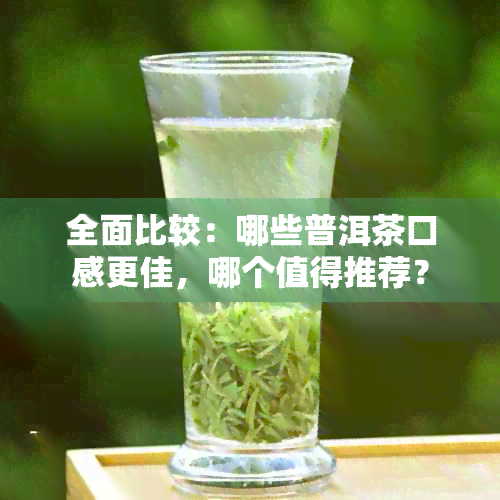 全面比较：哪些普洱茶口感更佳，哪个值得推荐？