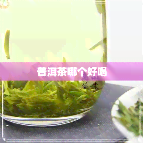 普洱茶哪个好喝