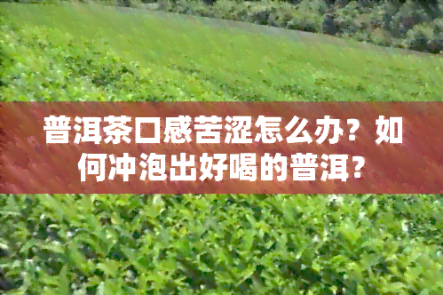 普洱茶口感苦涩怎么办？如何冲泡出好喝的普洱？