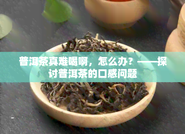 普洱茶真难喝啊，怎么办？——探讨普洱茶的口感问题