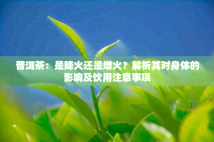 普洱茶：是降火还是增火？解析其对身体的影响及饮用注意事项