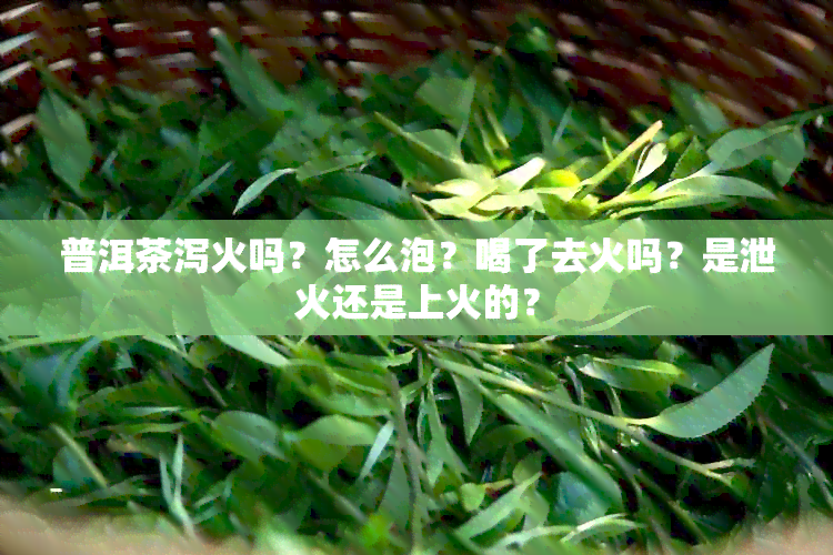 普洱茶泻火吗？怎么泡？喝了去火吗？是泄火还是上火的？