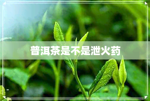 普洱茶是不是泄火